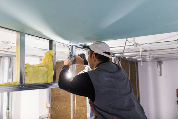 Best Insulation Installation Services in Tylertown, MS